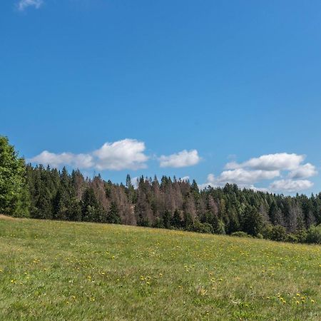 Haus Isele Apartment Urberg Екстериор снимка